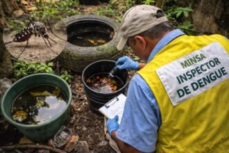 whatsapp image 2026 03 22 at 12.42.39 pm