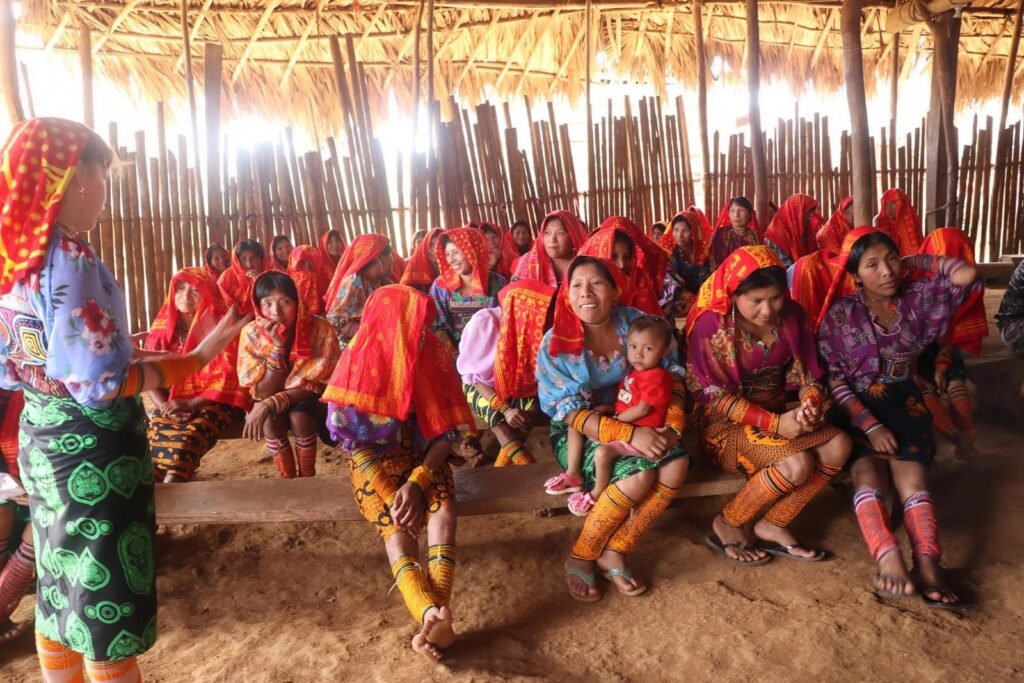 whatsapp image 2026 03 24 at 2.23.50 pm (2)