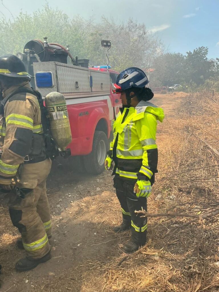 whatsapp image 2026 03 24 at 2.26.02 pm