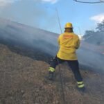 bomberos panameños en acción