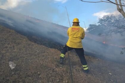 bomberos panameños en acción