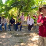 ISA participa en capacitación a productores de arroz ante el inicio del ciclo agrícola. El Instituto de Seguro Agropecuario (ISA) participó en jornadas de capacitación dirigidas a productores de arroz en la provincia de Chiriquí. Estas capacitaciones están enfocadas en la implementación de las Acciones de Mitigación Nacionalmente Apropiadas (NAMAs), orientadas a reducir las emisiones de gases de efecto invernadero en el sector agrícola