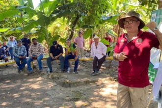 El Instituto de Seguro Agropecuario (ISA) participó en jornadas de capacitación dirigidas a productores de arroz en la provincia de Chiriquí. Estas capacitaciones están enfocadas en la implementación de las Acciones de Mitigación Nacionalmente Apropiadas (NAMAs), orientadas a reducir las emisiones de gases de efecto invernadero en el sector agrícola