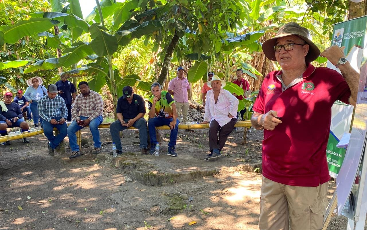 ISA participa en capacitación a productores de arroz ante el inicio del ciclo agrícola. El Instituto de Seguro Agropecuario (ISA) participó en jornadas de capacitación dirigidas a productores de arroz en la provincia de Chiriquí. Estas capacitaciones están enfocadas en la implementación de las Acciones de Mitigación Nacionalmente Apropiadas (NAMAs), orientadas a reducir las emisiones de gases de efecto invernadero en el sector agrícola