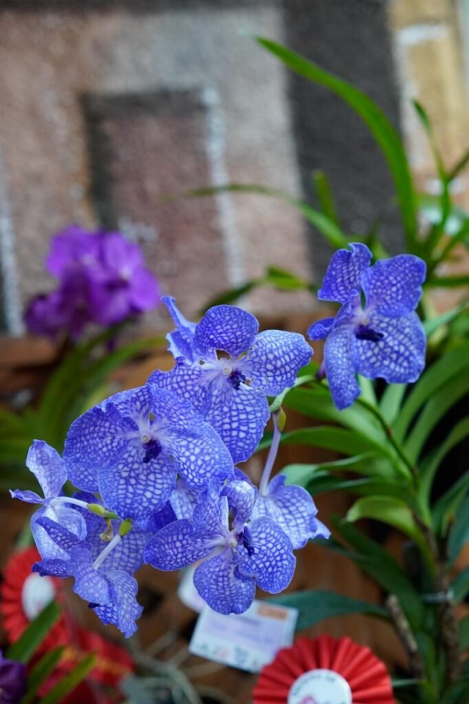 whatsapp image 2026 04 02 at 10.51.59 am