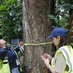 proyecto mi ambiente