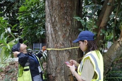 Proyecto protege árboles del Biomuseo y promueve turismo verde en Panamá proyecto mi ambiente