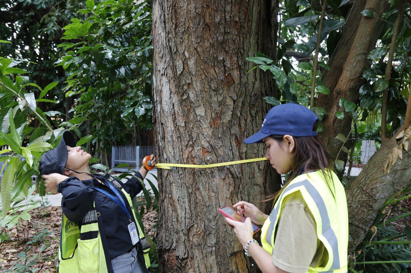 proyecto mi ambiente