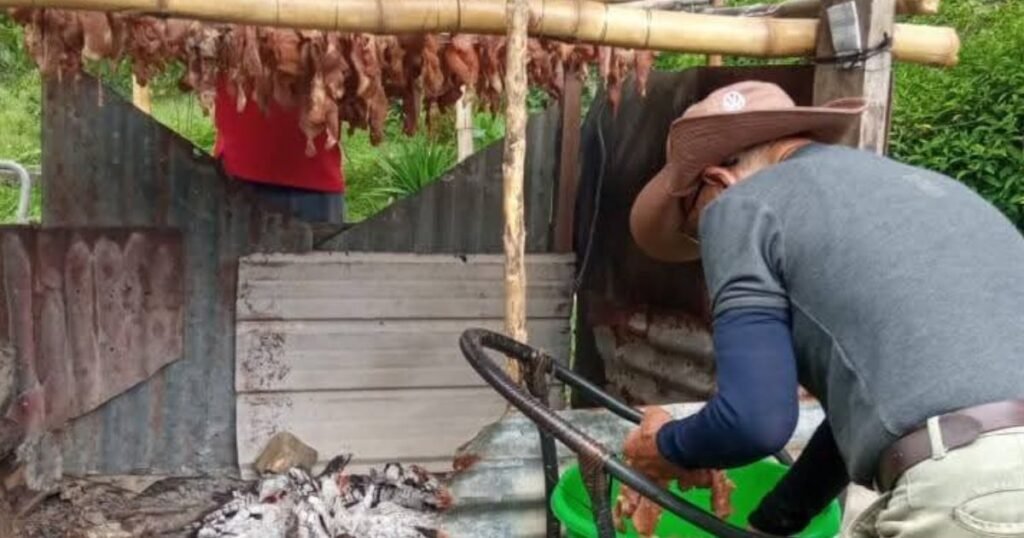 Chiriquí cumple 177 años como potencia económica panameña boquete