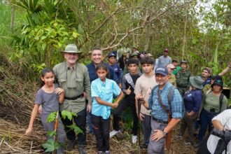 reforestación Panamá 2026