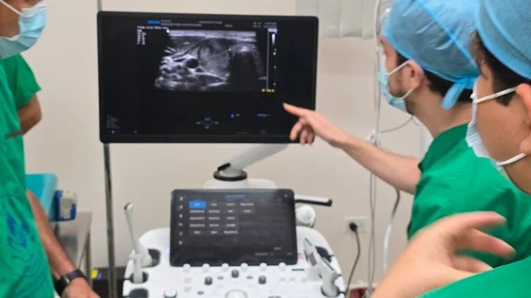 El doctor Jonathan Cerrud, radiólogo intervencionista del Hospital Dr. Gustavo Nelson Collado y responsable de los procedimientos, explicó que la técnica consiste en introducir una aguja guiada que genera calor controlado en su extremo distal.
