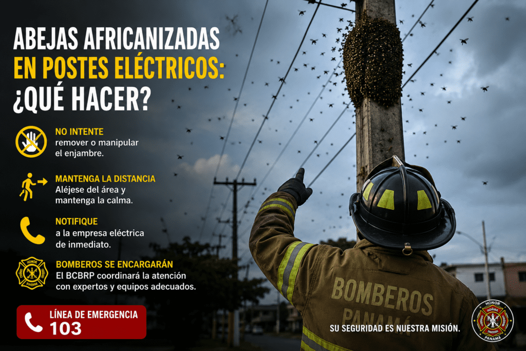 El Cuerpo de Bomberos advierte sobre el peligro de los enjambres de abejas africanizadas en postes eléctricos y explica qué hacer para evitar accidentes.
