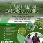 El ISA realizará un Día de Campo Agropecuario en Changuinola para capacitar a productores sobre protección de cultivos, enfermedades y buenas prácticas agrícolas.