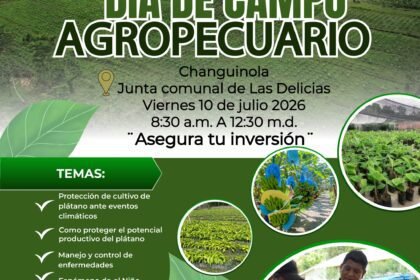 El ISA realizará un Día de Campo Agropecuario en Changuinola para capacitar a productores sobre protección de cultivos, enfermedades y buenas prácticas agrícolas.