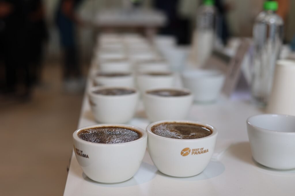 También expresa el suelo, la altitud y el clima donde fue cultivado, convirtiendo cada taza en una experiencia irrepetible que muy pocos países pueden ofrecer.

Esa combinación de naturaleza, conocimiento y dedicación ha permitido que el Geisha panameño continúe siendo el café más premiado y buscado por compradores internacionales.