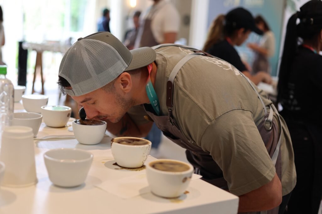 Panamá volvió a demostrar por qué produce uno de los cafés más exclusivos y codiciados del planeta. La Cata Nacional del Best of Panama 2026 seleccionó los 64 mejores lotes que representarán al país en la ronda internacional, donde expertos de diferentes continentes elegirán los cafés más sobresalientes del año.