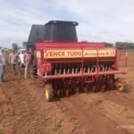 inspección de siembra de arroz