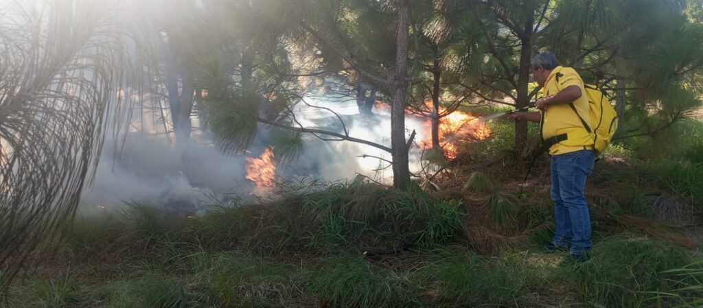 incendio en Volcán Barú
