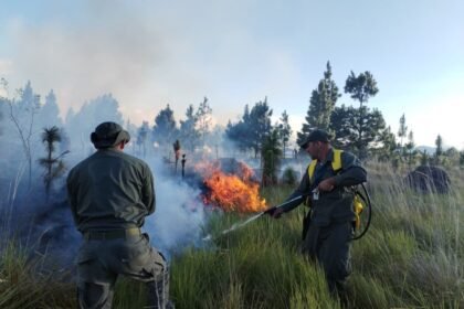 incendio en Volcán Barú