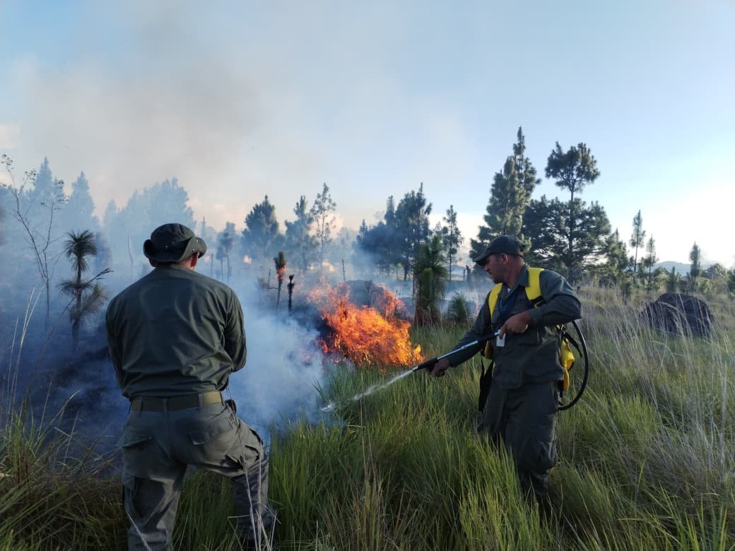 incendio en Volcán Barú