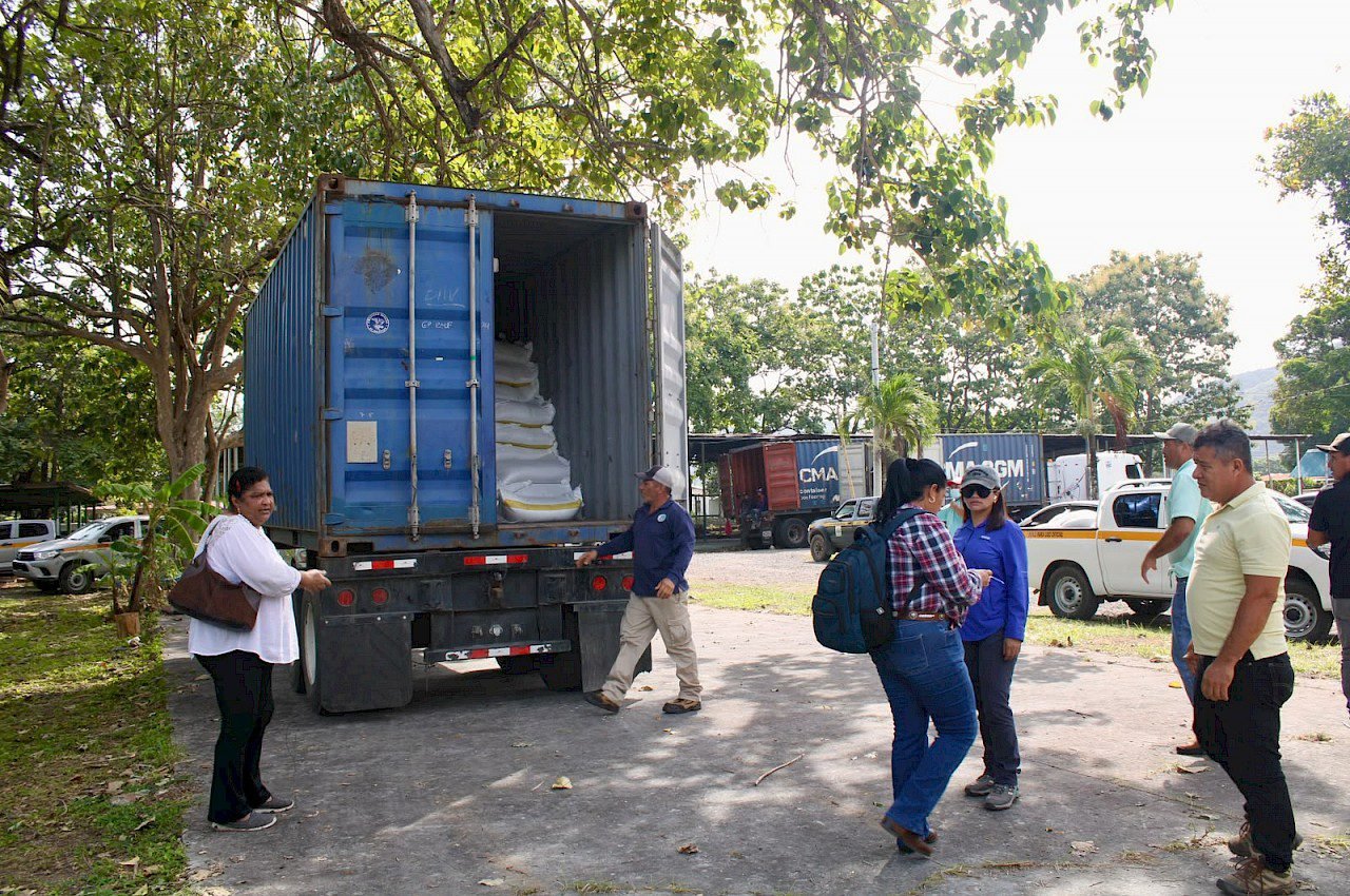Nutrir los suelos fortalece la producción agrícola en Coclé