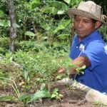 MIDA lanza millonario plan contra El Niño en Panamá