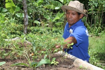 MIDA lanza millonario plan contra El Niño en Panamá