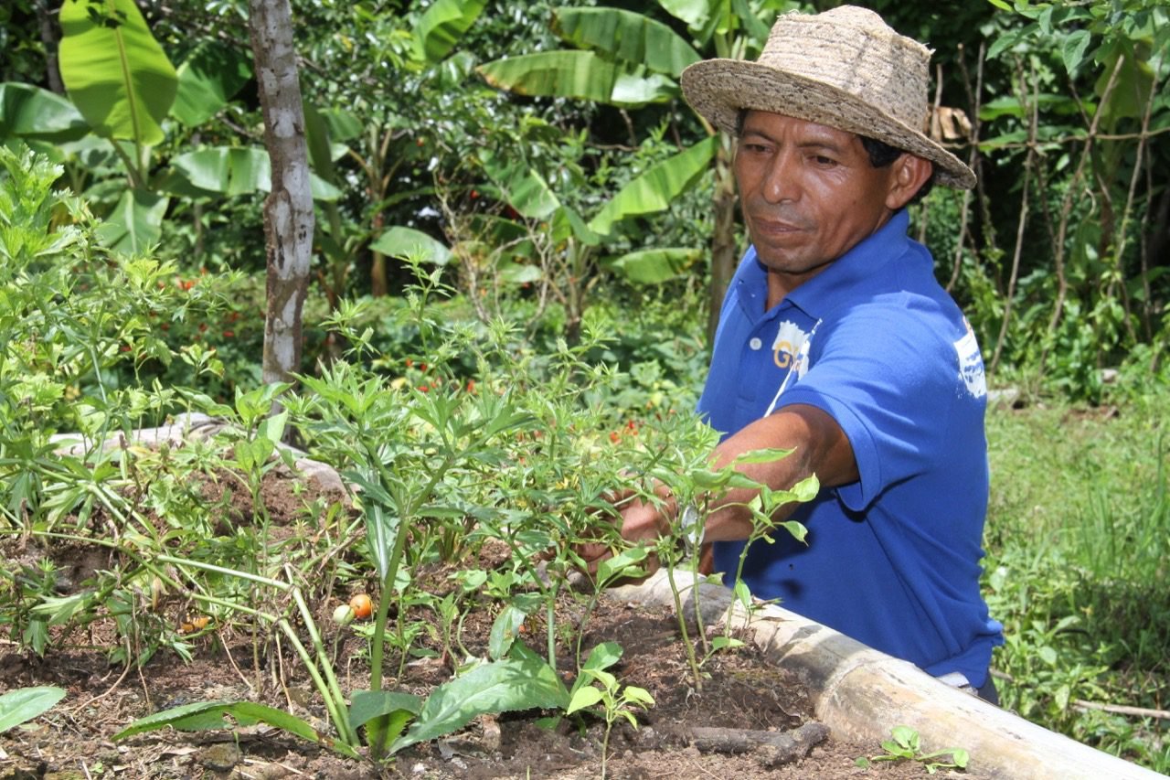 MIDA lanza millonario plan contra El Niño en Panamá