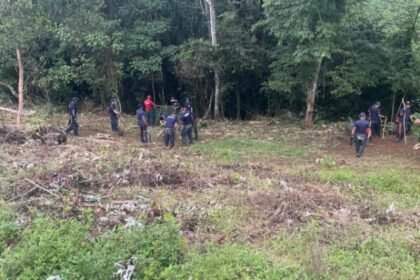 Rescate en selva en Panamá