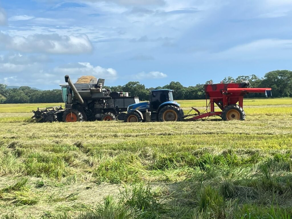 seguro agropecuario, Chiriquí, productores agrícolas, cosechas, ISA