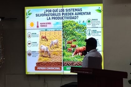 Ganadería sostenible en Bocas del Toro