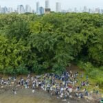 limpieza nacional de playas en Panamá