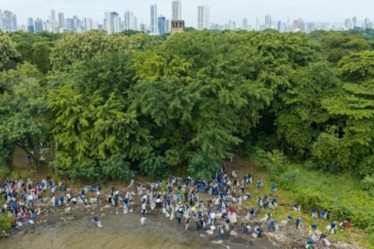 limpieza nacional de playas en Panamá