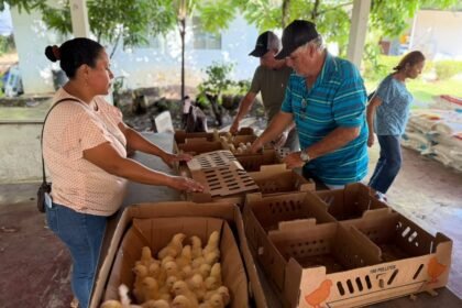 El convenio MIDA-Meduca–Caja de Ahorros promueve la seguridad alimentaria y el aprendizaje práctico mediante huertos y granjas avícolas escolares, acercando a los estudiantes a la producción y al consumo de alimentos saludables.