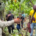 productores de cacao en Kusapín