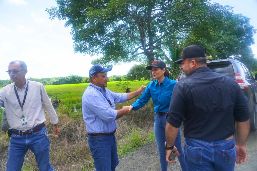 El ISA utiliza drones en Tonosí para evaluar parcelas de arroz e identificar posibles afectaciones vinculadas al fenómeno de El Niño.