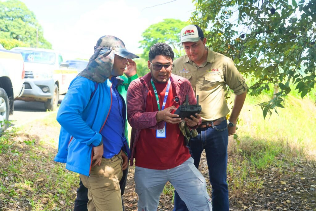 El ISA utiliza drones en Tonosí para evaluar parcelas de arroz e identificar posibles afectaciones vinculadas al fenómeno de El Niño.