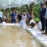 producción de pescado en Cañazas