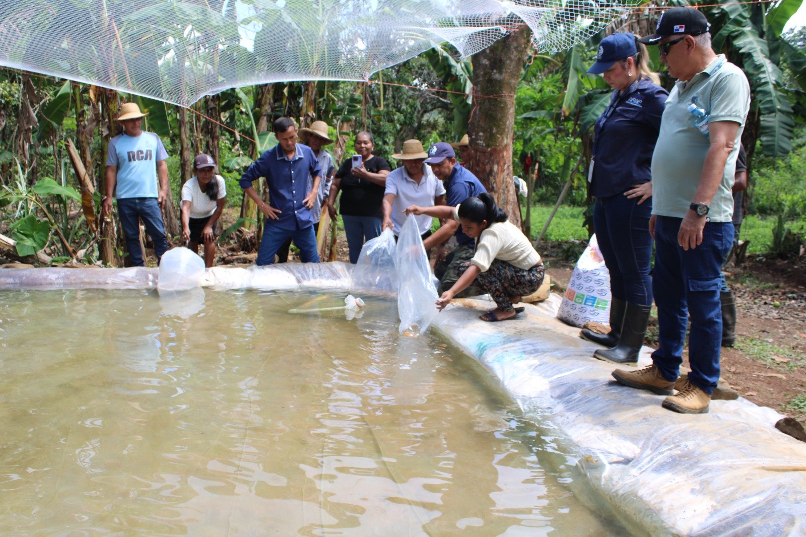 producción de pescado en Cañazas