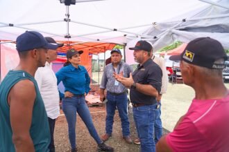 cultivos en Isla Cañas