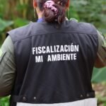 emediación ambiental mina El Remance