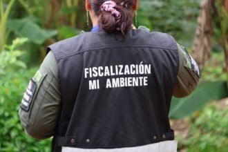 emediación ambiental mina El Remance