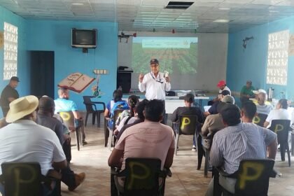 seguro agropecuario para productores de café